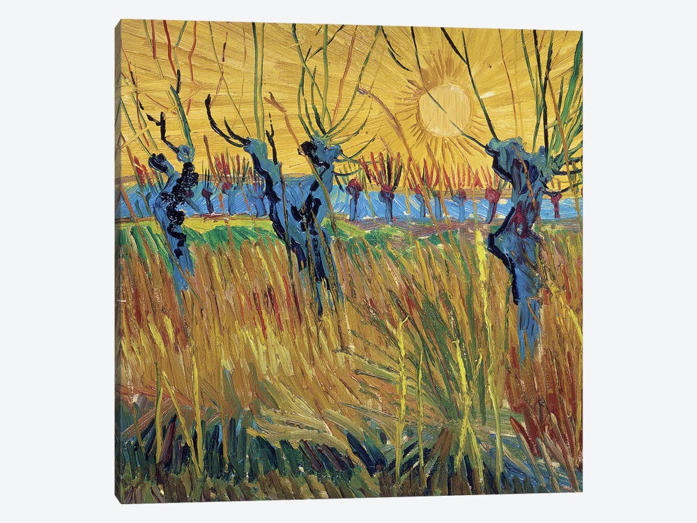 Pollarded Willows and Setting Sun, 1888  by Vincent van Gogh 1-piece Canvas Art Print