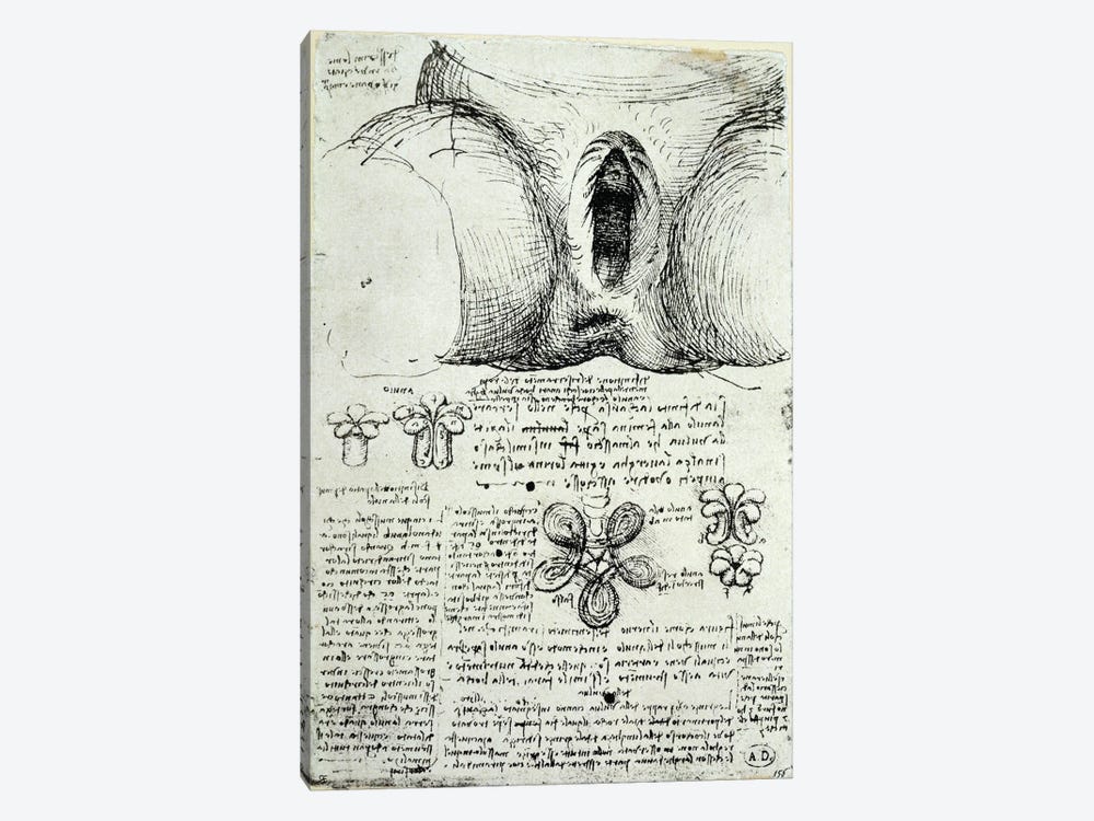 The Female Sexual Organs, facsimile copy  1-piece Art Print