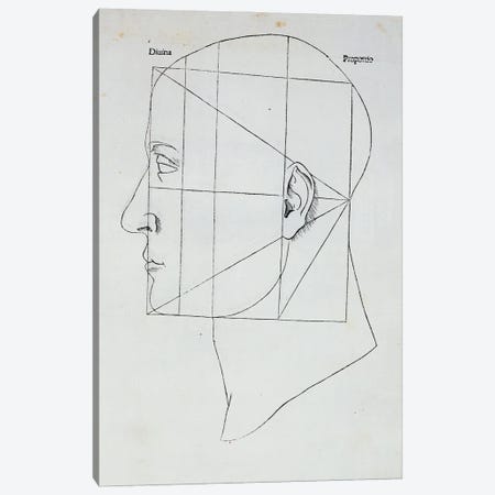 The Human Head Canvas Print #BMN2917} by Leonardo da Vinci Canvas Print