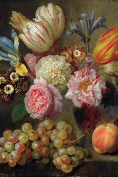 Peonies: Flower Study  by Balthasar Denner