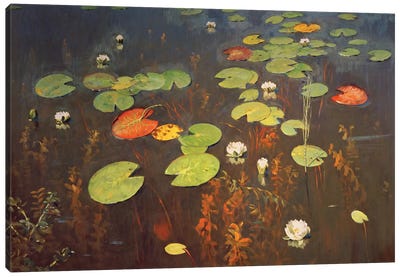 Water Lilies 1895  Canvas Art Print