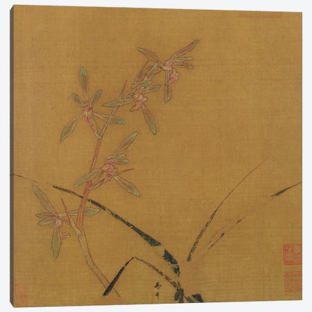 Orchids  Canvas Print #BMN2938} by Japanese School Canvas Artwork