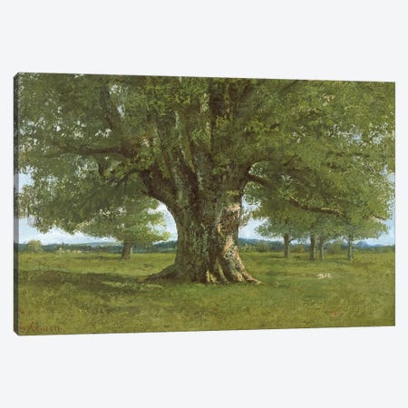 The Oak of Flagey, called Vercingetorix Canvas Print #BMN293} by Gustave Courbet Art Print