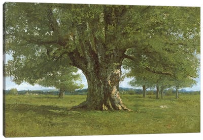 The Oak of Flagey, called Vercingetorix Canvas Art Print - Oak Tree Art