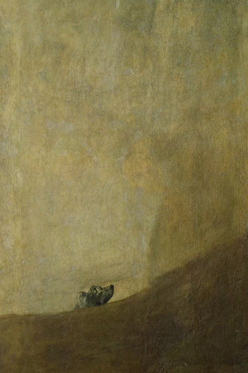 The Dog, 1820-23  by Francisco Goya wall art