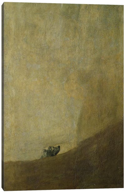 The Dog, 1820-23  Canvas Art Print - Francisco Goya