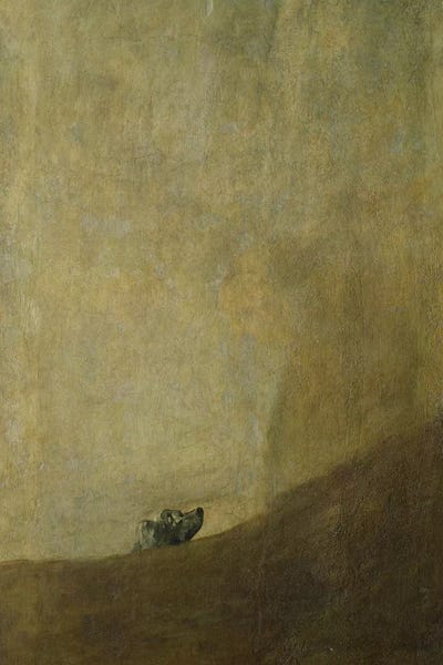 Romanticism: The Dog, 1820-23  by Francisco Goya