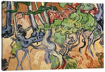 Tree roots, 1890  Canvas Art Print - All Things Van Gogh