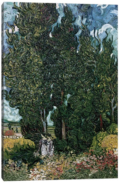 The cypresses, c.1889-90  Canvas Art Print - Vincent van Gogh