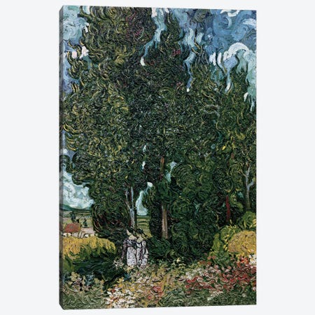 The cypresses, c.1889-90  Canvas Print #BMN3015} by Vincent van Gogh Canvas Print