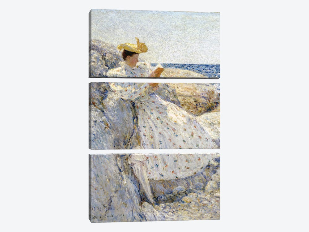 Summer Sunlight, Isles of Shoals, 1892  by Childe Hassam 3-piece Canvas Print