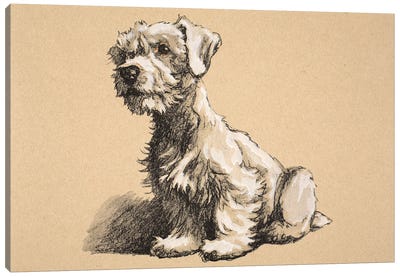 Sealyham, 1930, Illustrations from his Sketch Book used for 'Just Among Friends', Aldin, Cecil Charles Windsor  Canvas Art Print