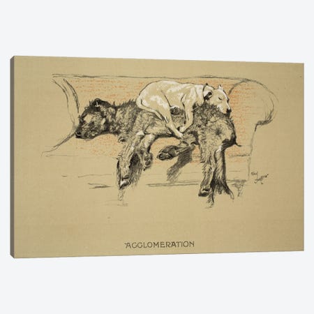 Agglomeration, 1930, 1st Edition of 'Sleeping Partners', Aldin, Cecil Charles Windsor  Canvas Print #BMN3041} by Cecil Charles Windsor Aldin Canvas Print