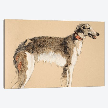 Borzoi, 1930, Illustrations from his Sketch Book used for 'Just Among Friends', Aldin, Cecil Charles Windsor  Canvas Print #BMN3054} by Cecil Charles Windsor Aldin Art Print