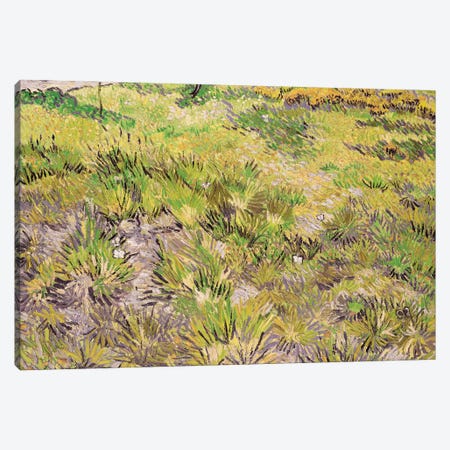 Meadow with Butterflies, 1890  Canvas Print #BMN3069} by Vincent van Gogh Canvas Print