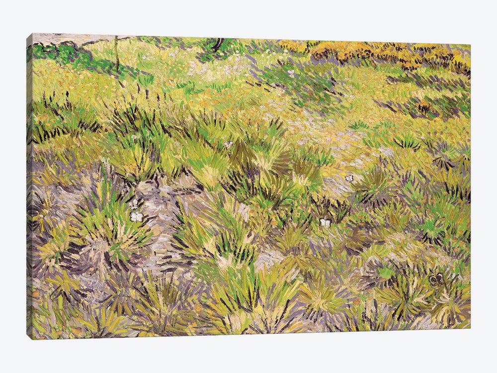 Meadow with Butterflies, 1890  by Vincent van Gogh 1-piece Canvas Artwork
