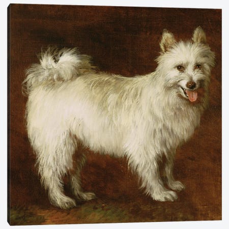 Spitz Dog, c.1760-70  Canvas Print #BMN3076} by Thomas Gainsborough Canvas Print