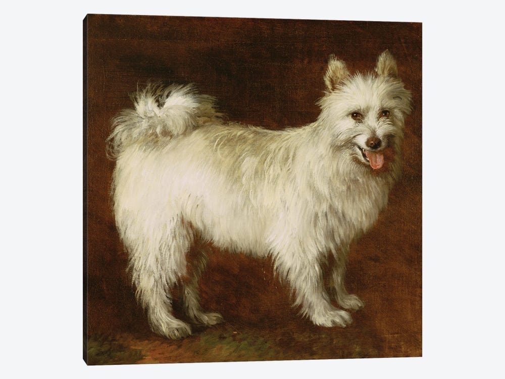 Spitz Dog, c.1760-70  by Thomas Gainsborough 1-piece Canvas Artwork