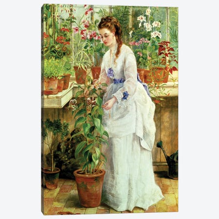 Young Lady in a Conservatory Canvas Print #BMN307} by Jane Maria Bowkett Canvas Art