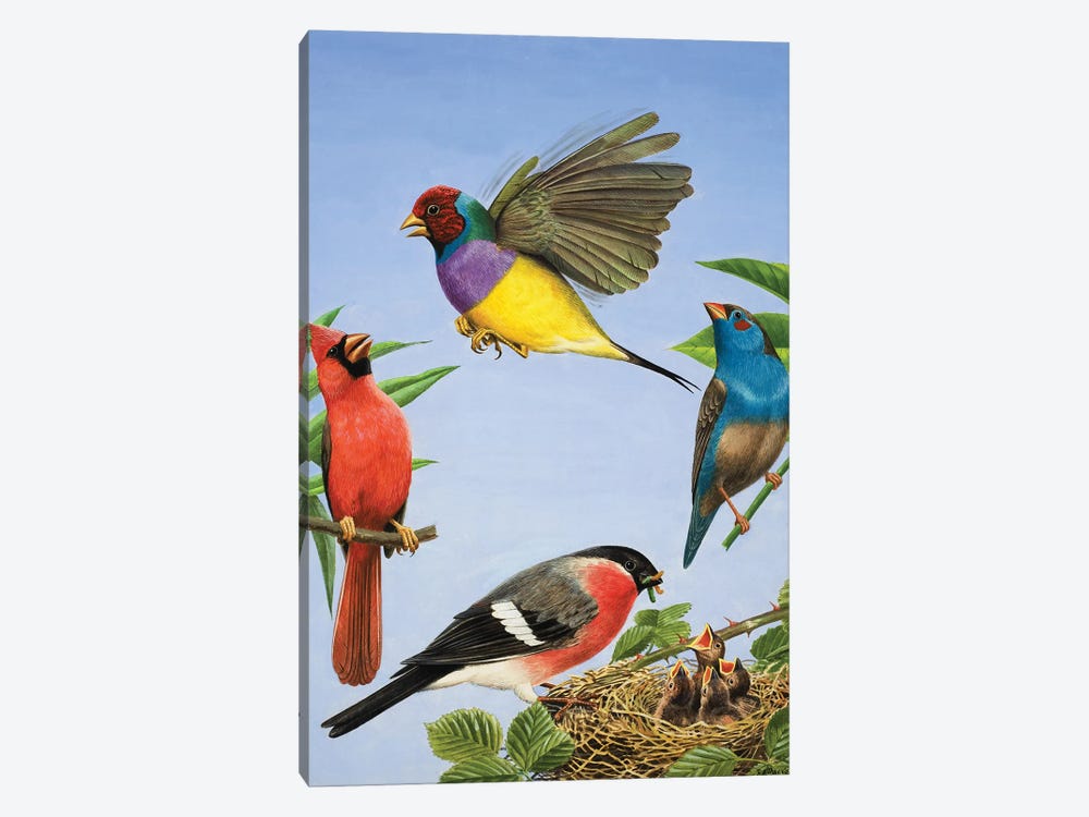 Tropical Birds  1-piece Canvas Print