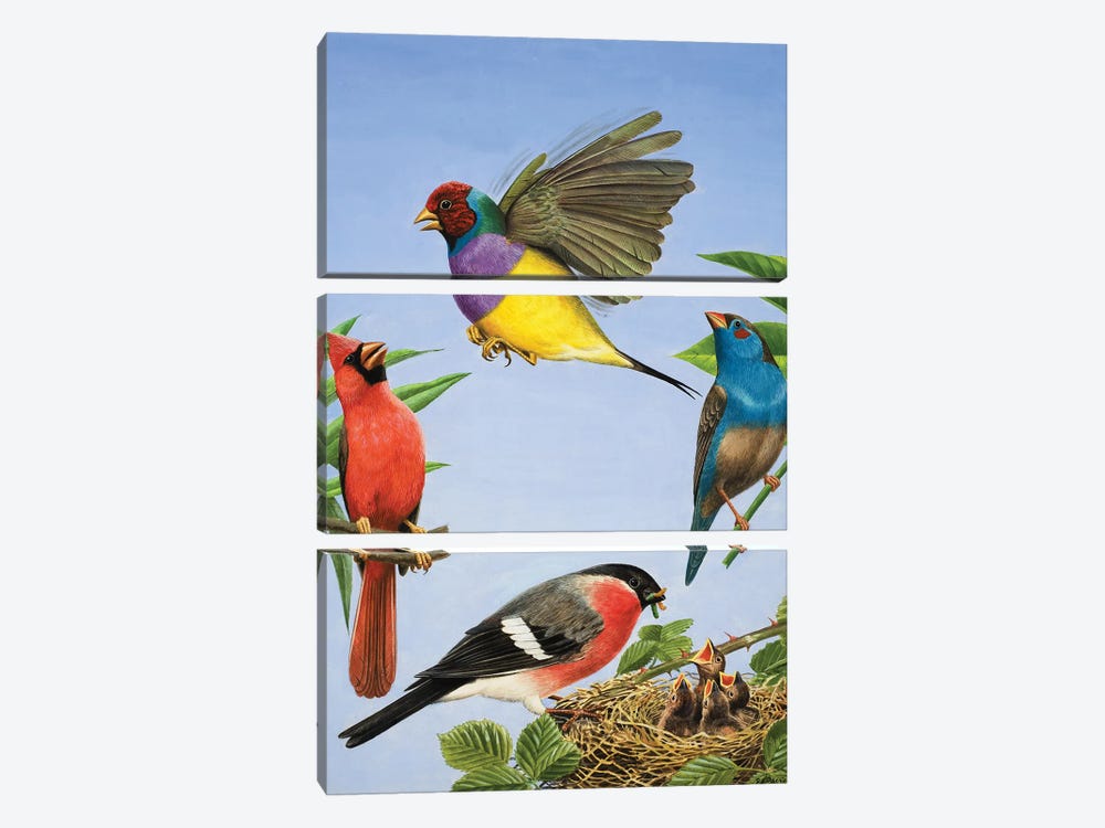 Tropical Birds  3-piece Art Print