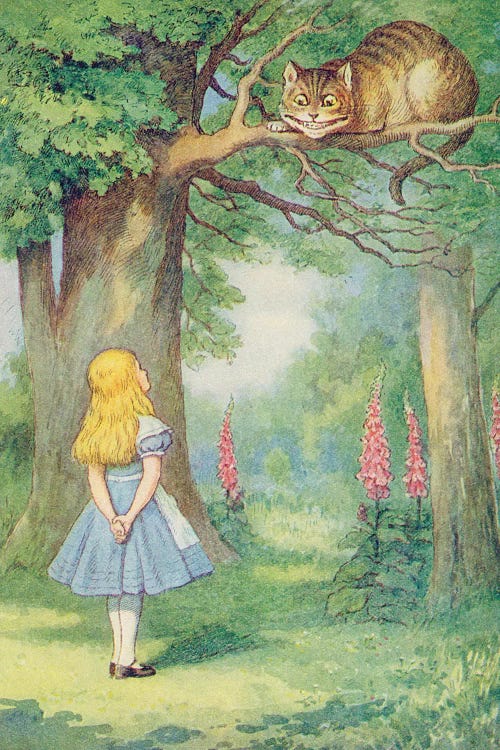 Alice and the Cheshire Cat, illustration from 'Alice in Wonderland' by Lewis Carroll 