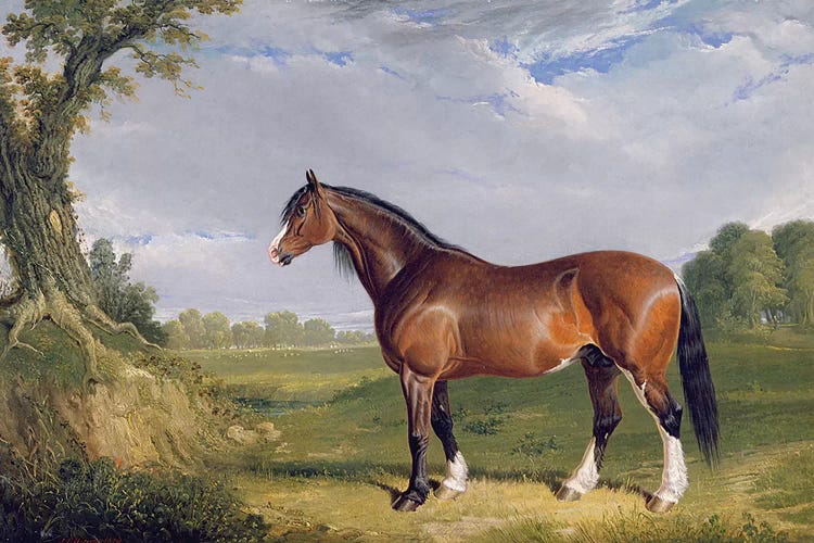 A Clydesdale Stallion, 1820 