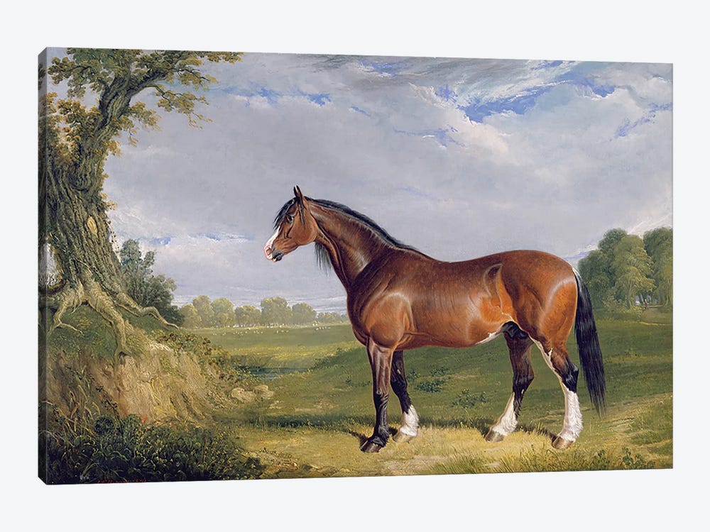 A Clydesdale Stallion, 1820  by John Frederick Herring Sr 1-piece Canvas Art
