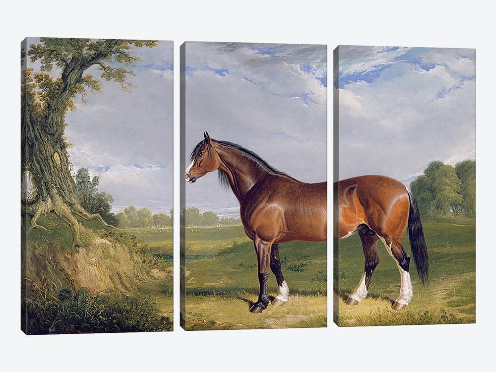 A Clydesdale Stallion, 1820  by John Frederick Herring Sr 3-piece Canvas Wall Art