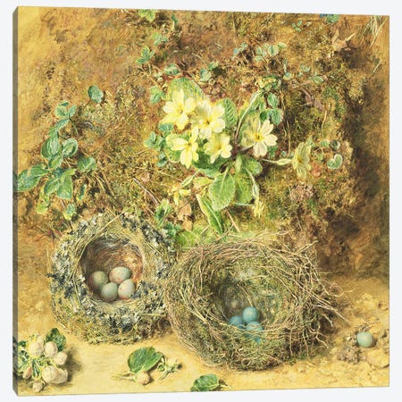 Primroses and Birds' Nests  Canvas Print #BMN317} by William Henry Hunt Art Print