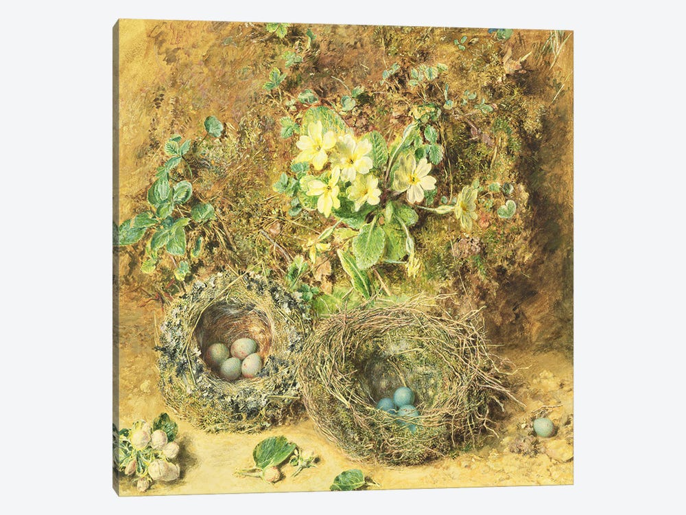 Primroses and Birds' Nests  by William Henry Hunt 1-piece Canvas Print