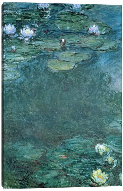 Water-Lilies  Canvas Art Print - Pond Art