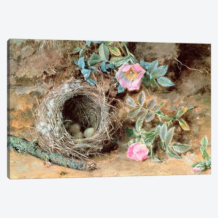 Wild Roses and Birds' Nests Canvas Print #BMN320} by William Henry Hunt Canvas Print