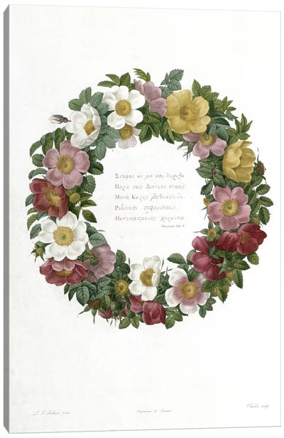 Christmas Roses Canvas Art Print