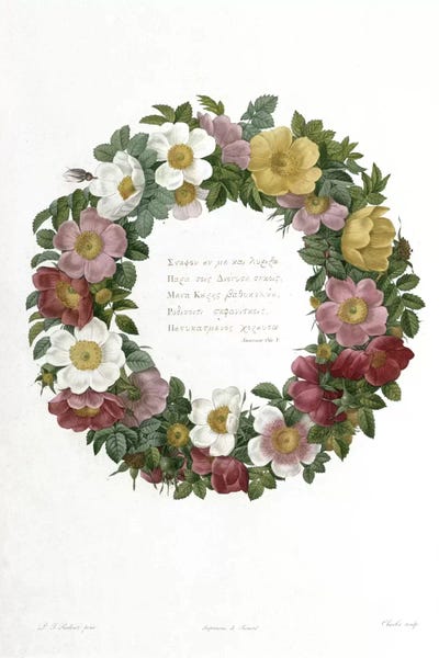 Pierre-Joseph Redouté: Christmas Roses by Pierre-Joseph Redouté