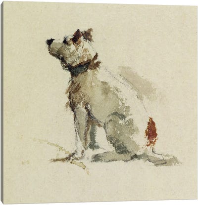A Terrier, sitting facing left  Canvas Art Print