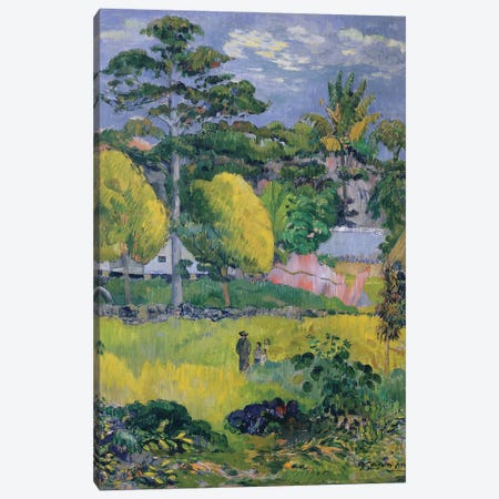 Landscape, 1901  Canvas Print #BMN3243} by Paul Gauguin Canvas Print