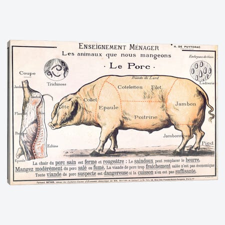 Cuts Of Pork Illustration From A French Domestic Science Manual Canvas Print #BMN3246} by French School Canvas Art