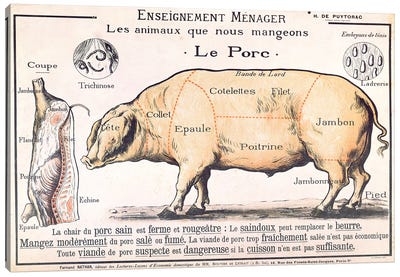 Cuts Of Pork Illustration From A French Domestic Science Manual Canvas Art Print - French School