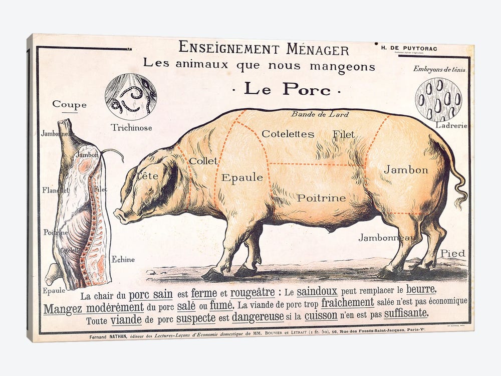 Cuts Of Pork Illustration From A French Domestic Science Manual 1-piece Canvas Wall Art