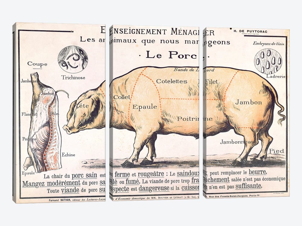 Cuts Of Pork Illustration From A French Domestic Science Manual by French School 3-piece Canvas Artwork