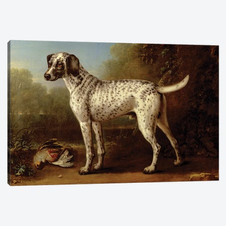 Grey spotted hound, 1738  Canvas Print #BMN3253} by John Wootton Canvas Wall Art