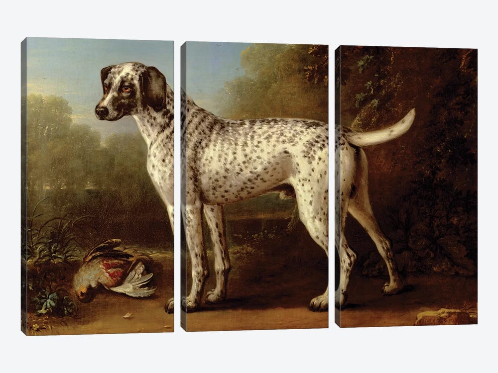 Grey spotted hound, 1738  by John Wootton 3-piece Canvas Art