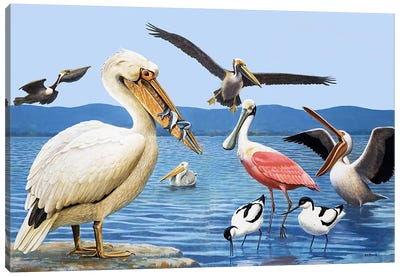 Birds with strange beaks Canvas Art Print