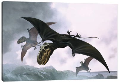 Dimorphodon Canvas Art Print