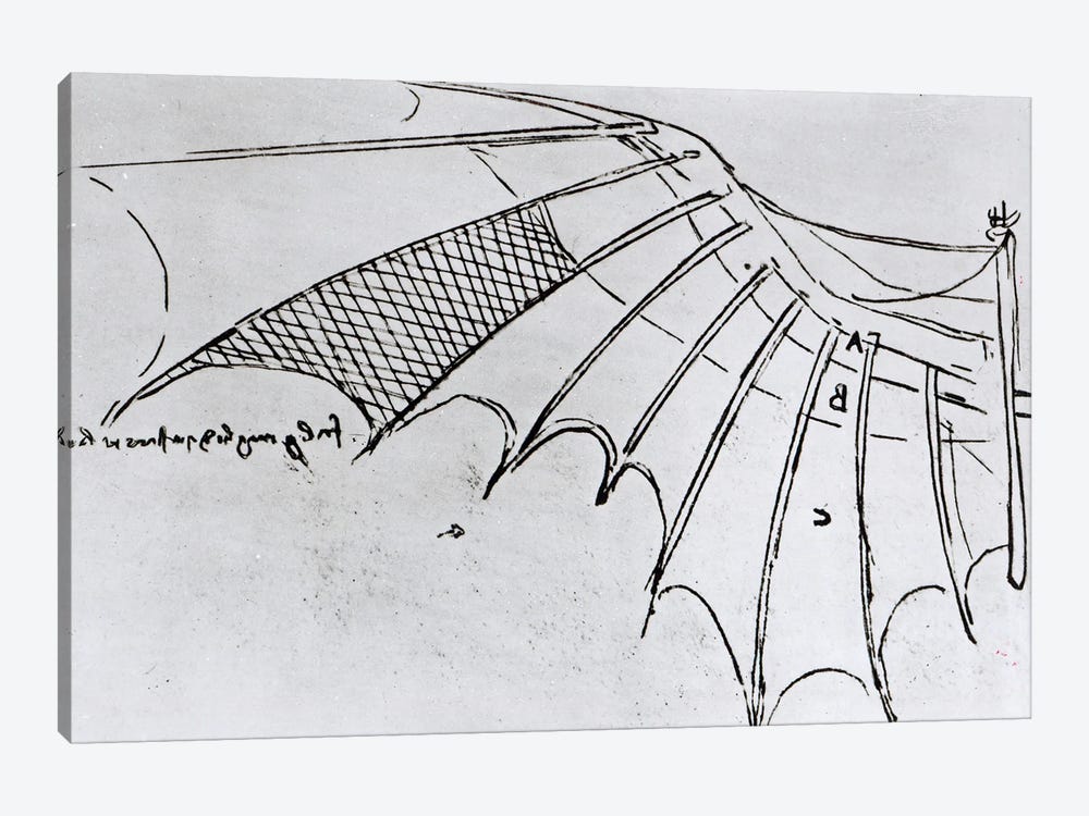 Detail of a mechanical wing from fol. 74r, manuscript B 2173, 1488-89  by Leonardo da Vinci 1-piece Canvas Art
