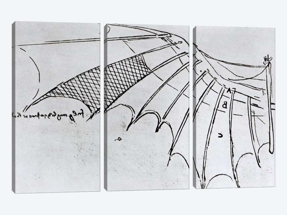 Detail of a mechanical wing from fol. 74r, manuscript B 2173, 1488-89  3-piece Canvas Artwork