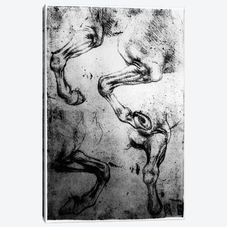 Studies of Horses legs  Canvas Print #BMN3376} by Leonardo da Vinci Canvas Art