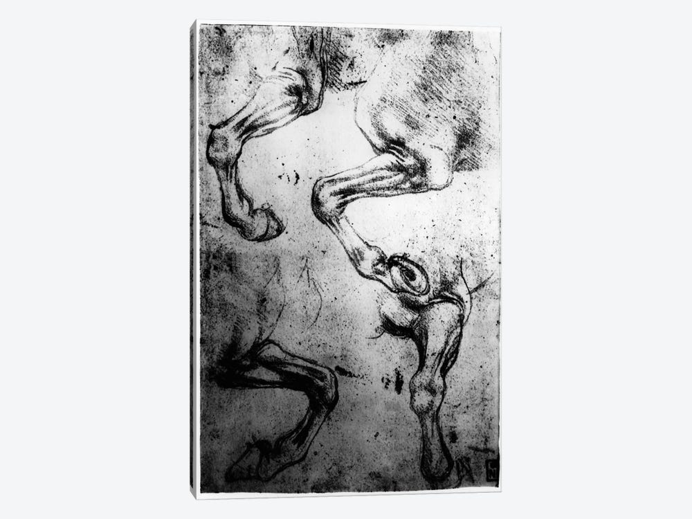 Studies of Horses legs  by Leonardo da Vinci 1-piece Canvas Art