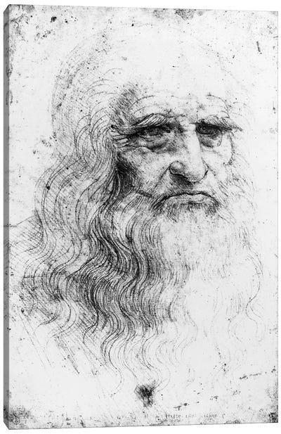 Lithograph, Self Portrait, c.1515-16 (Musei Reali Torino) Canvas Art Print - Leonardo da Vinci